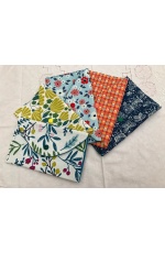 pochettes_1948265717